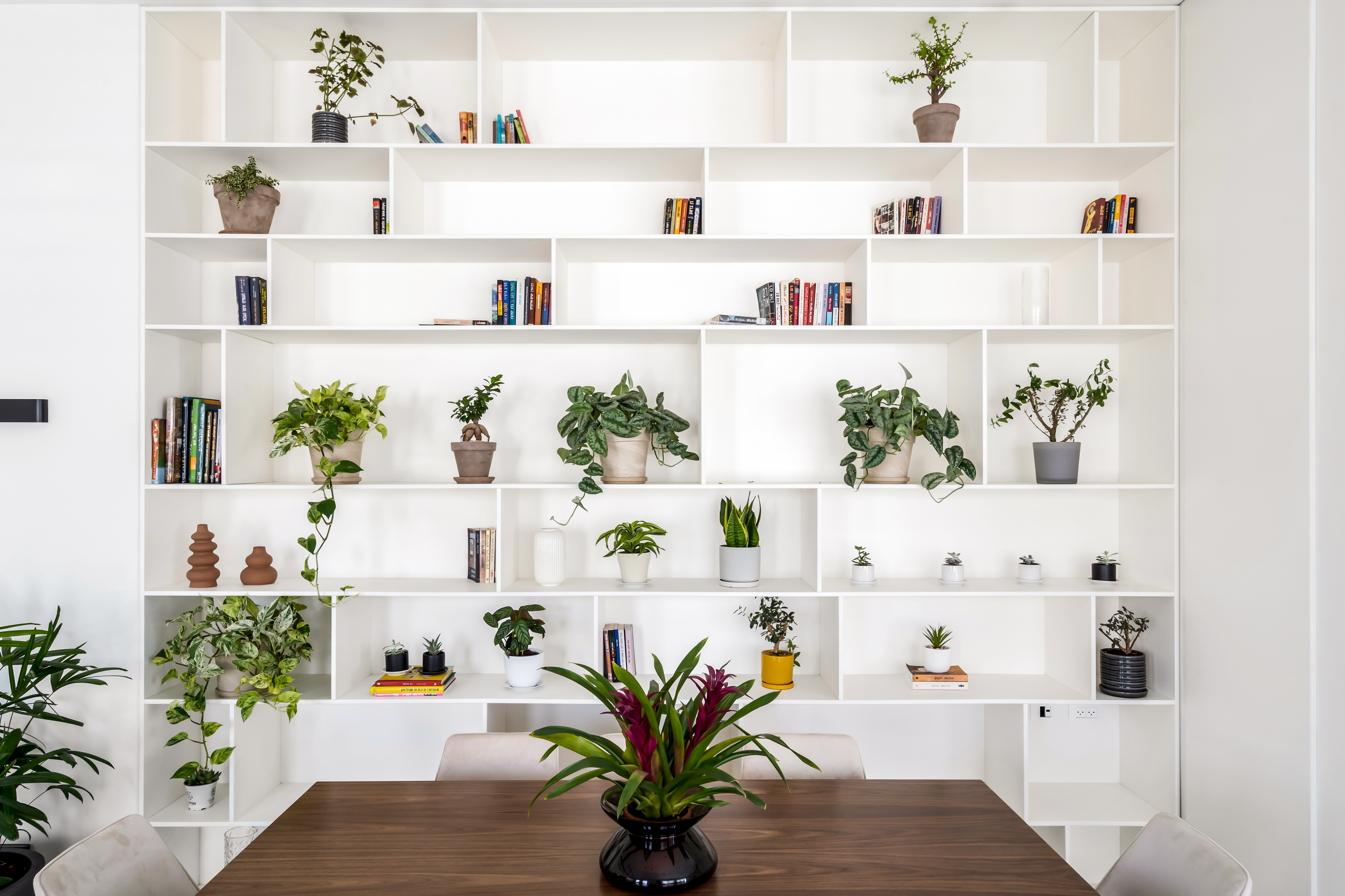 S1-HOUSE - תמונה 9